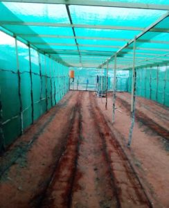 Beer Greenhouse bilaa biro